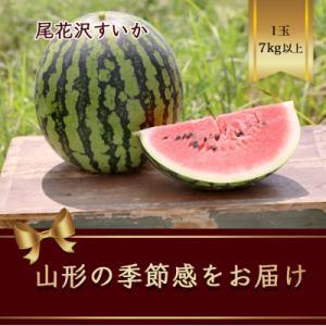 山形県産すいか　1玉入 7kg以上 大玉西瓜が特徴で真夏が旬【令和8年発送】