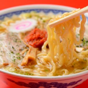 ふるさと納税 南陽市 本店の味!　龍上海ラーメン　2箱セット【S667】