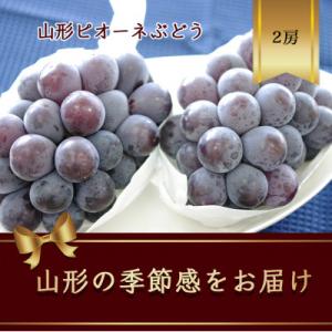 ピオーネぶどう 2房 種なし品種です【令和8年発送先行予約】