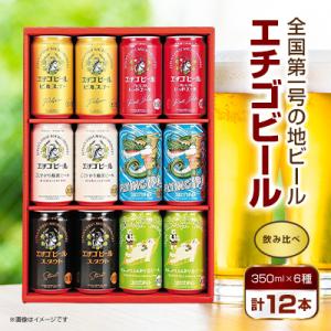 エチゴビール12本入り