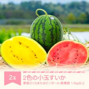 ふるさと納税 村山市 2色の小玉すいか