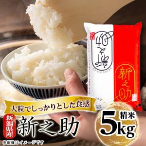 新潟県産 新之助 5kg