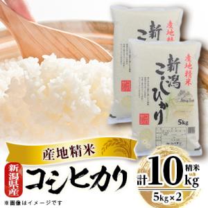 新潟県産 コシヒカリ 10kg(5kg×2)
