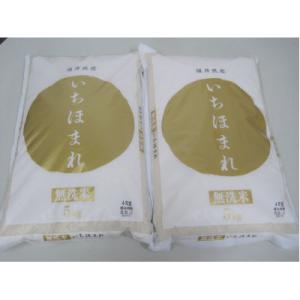 無洗米　いちほまれ10キロ(令和8年産)　福井の新ブランド米　5キロを2袋