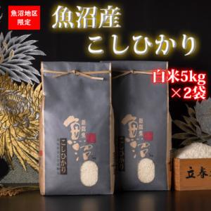 【令和7年産 】新潟県!特A地区!魚沼産コシヒカリ【白米10kg(5kg×2袋)】