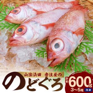 山陰浜田　創業大正10年香住屋の「のどぐろ煮つけ・塩焼用(3～5尾)約600g」