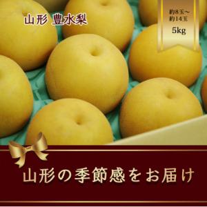 豊水梨　約8玉～約14玉　5kg【令和8年発送】