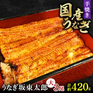 【うなぎ坂東太郎】うなぎの蒲焼　大サイズ3串　計約420g〈タレ・山椒付き〉