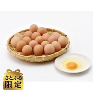 ふるさと納税 浜田市 【さとふる限定】昔ながらの里の味　中国山地が育んだ もみじたまご20個