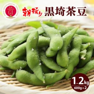 【先行予約】朝採り枝豆 くろさき茶豆1.2kg〈GI登録産品〉 2026年8月発送