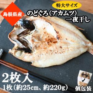 ふるさと納税 浜田市 山陰浜田極味ののどぐろ一夜干し(220〜250g)2枚