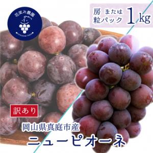 岡山　花笑み農園の 『訳ありニューピオーネ』1kg　WP-1
