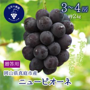 岡山　花笑み農園の『ニューピオーネ』贈答用　約2kg(3～4房)　P-2上
