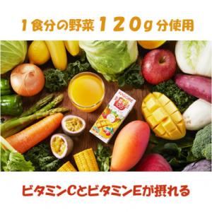 ふるさと納税 富士見町 カゴメ 野菜生活マンゴ...の詳細画像2