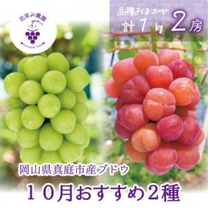 岡山　花笑み農園のブドウ『10月おすすめ2種セット』1kg(2房)　2M-1L