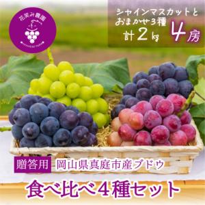 岡山　花笑み農園の『食べ比べ4種』シャイン入り　贈答用　2kg(4房)4M-2