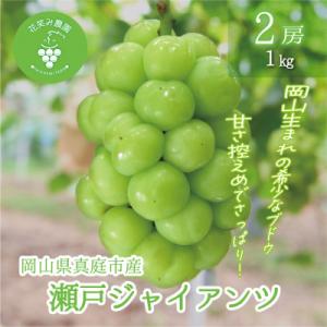 岡山　花笑み農園のブドウ『瀬戸ジャイアンツ』1kg(2房)　G-1