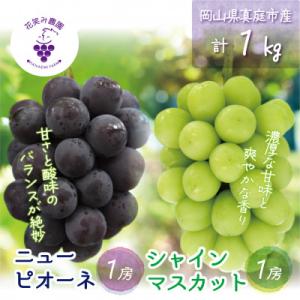 岡山　花笑み農園の『ニューピオーネ&シャインマスカット』1kg(2房)PS-1