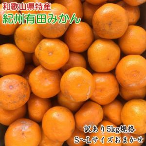 [訳あり]紀州有田みかん約5kg(S～Lサイズ) 「2026年11月中旬より順次発送」【印南町】