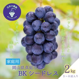 ふるさと納税 真庭市 岡山 花笑み農園のブドウ『BKシードレス』家庭用2kg　BK-2家【9月中旬〜順次発送】