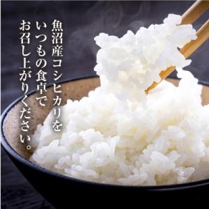 ふるさと納税 新潟県 新潟県 魚沼産 コシヒカ...の詳細画像2