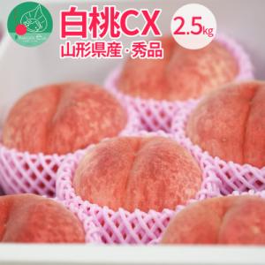 白桃 CX(シーエックス) 2.5kg入り 硬い桃 大玉 山形県産 【令和8年産 先行受付】