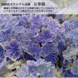 ふるさと納税 吉賀町 【お届け:2026年4月...の詳細画像1