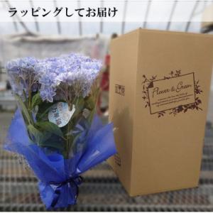 ふるさと納税 吉賀町 【お届け:2026年4月...の詳細画像2