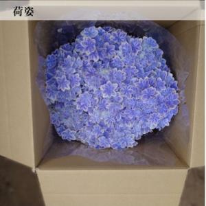 ふるさと納税 吉賀町 【お届け:2026年4月...の詳細画像3