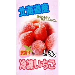 ふるさと納税 上富良野町 北海道上富良野産【訳あり】冷凍いちご　約1.2kg