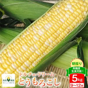 「夢のような美味しさ」ドルチェドリーム5kg箱