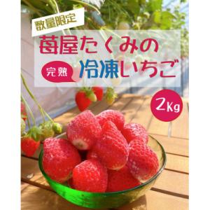 【2026年先行予約】苺屋たくみの冷凍いちご　約1kg x 2袋