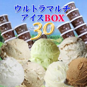 ふるさと納税 白石市 【30個　詰め合わせ　おまかせセット】　フロム蔵王のHybrid　ウルトラマルチアイス