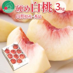 硬い白桃 3kg(6～12玉前後) 大玉 ギフト用 品種おまかせ 山形県産 【令和8年産】
