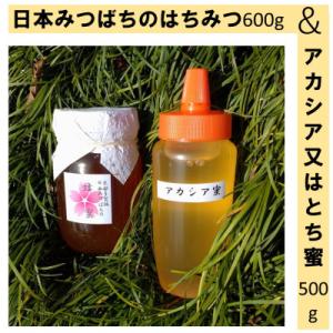 ふるさと納税 多賀城市 史都多賀城日本みつばちの蜂蜜600g・アカシア又はとち蜜500g