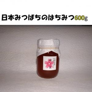 ふるさと納税 多賀城市 史都多賀城日本みつばちの蜂蜜600g