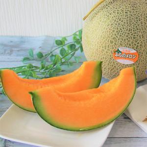 【2026年出荷】富良野メロン　秀品　赤肉約1.6kg×2玉