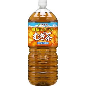 ふるさと納税 海南市 伊藤園の健康ミネラル麦茶　2L×6本【1ケース】｜y-sf