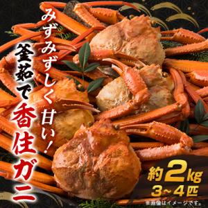 【先行予約】兵庫県香住産 釜茹で香住ガニ(紅ズワイガニ)3～4匹入(約2kg)