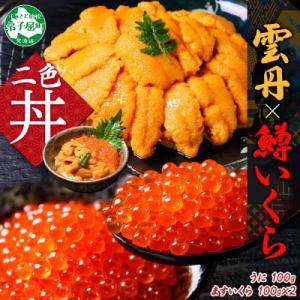 ふるさと納税 弟子屈町 【のし付】雲丹 100g 鱒いくら 100g×2個  うに チリ産 北海道 弟子屈町 3619