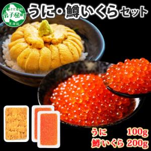 雲丹 100g 鱒いくら 100g×2個  うに チリ産 ます いくら 北海道 弟子屈町 3619