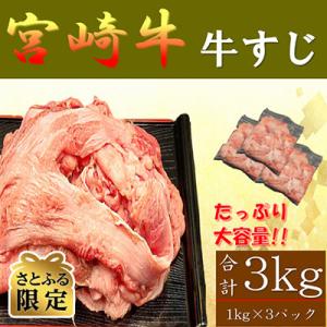 ふるさと納税 美郷町 【さとふる限定】宮崎牛 牛すじ A4〜A5ランク 3kg(1kg×3パック)(...