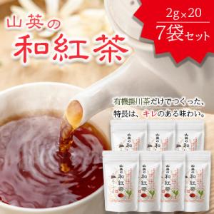 掛川市産　有機和紅茶　20個×7袋　計140個