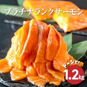 ふるさと納税 雄武町 プラチナランクサーモン　1.2kg【K12110】