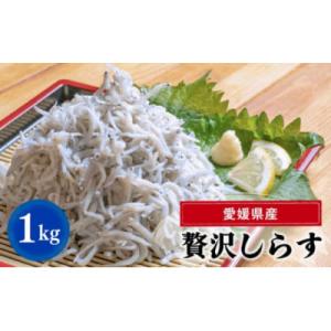 愛媛県産 贅沢 旬しらす 1kg×1