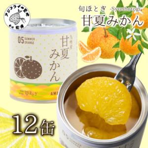 缶詰工場直送　特選果実「旬ほとぎ」甘夏みかん12缶