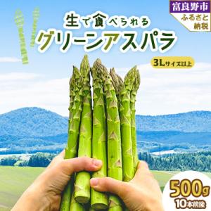 2027年先行予約 「生」で食べられる グリーンアスパラ　極太3L以上 500g(10本前後)