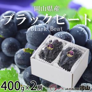 【先行受付】岡山県産　ブラックビート　400g×2房