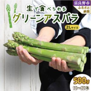 2027年先行予約生で食べられるアスパラ　北海道富良野産 グリーンアスパラガス 2Lサイズ 500g