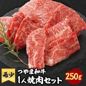 ふるさと納税 津山市 つやま和牛1人焼肉セット　250g